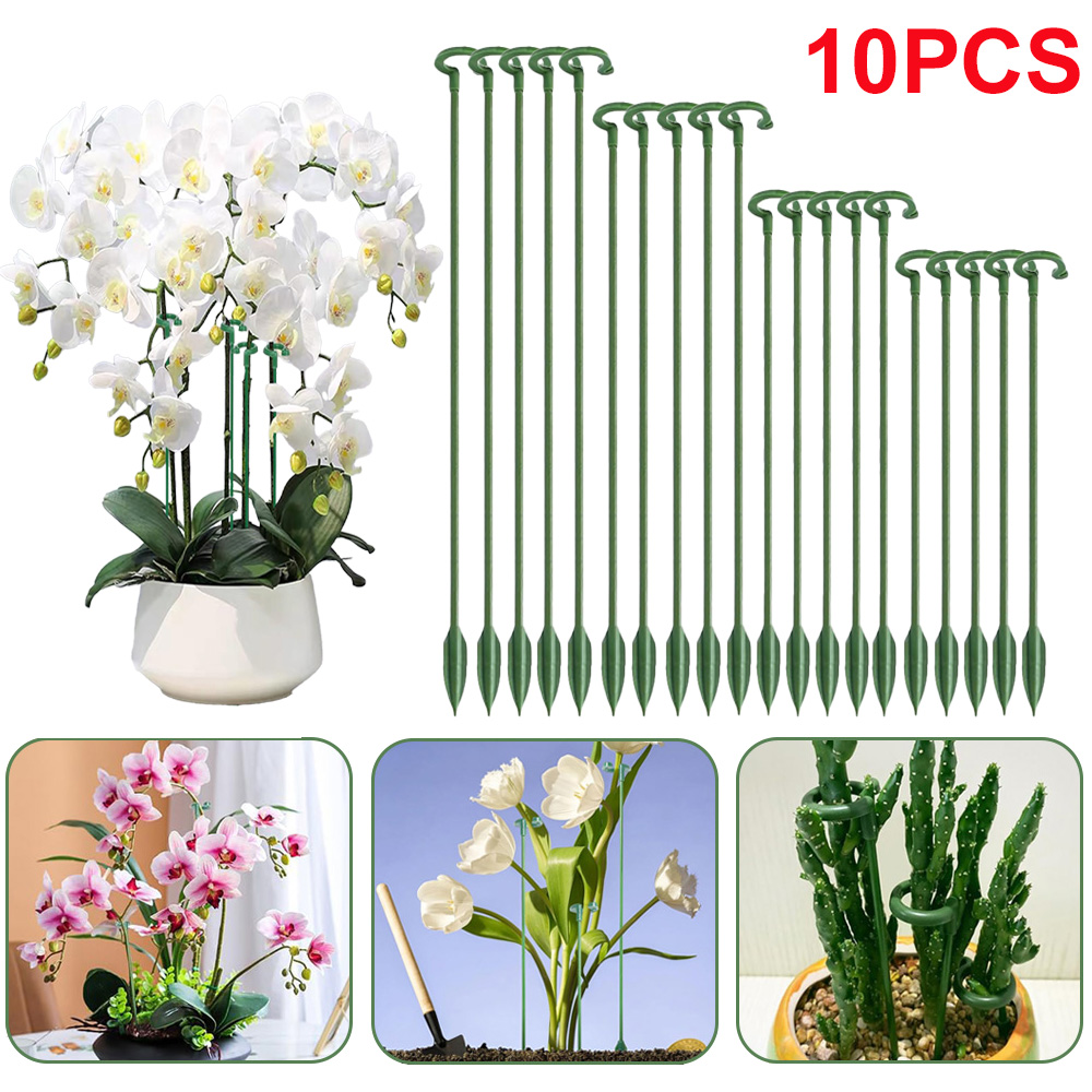 Florist Supp - 5/10 шт. опор для растений, держатели