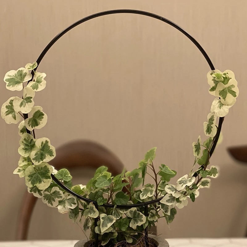 Садовая решетка, железная опор – обзор и цена Florist Supp