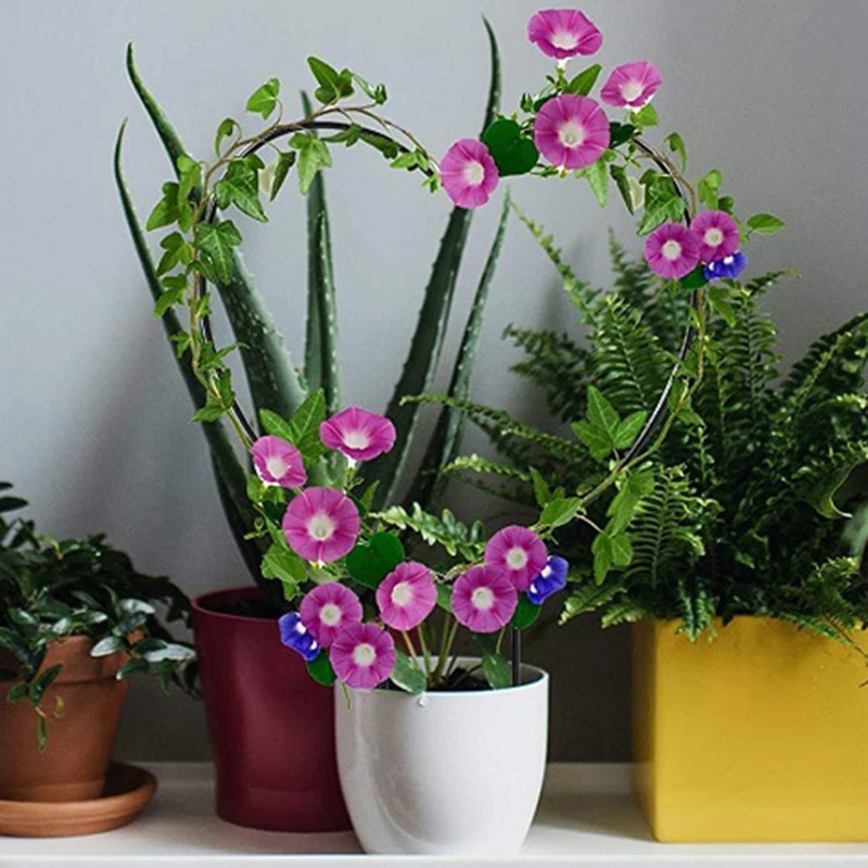 Садовая решетка, железная опор – обзор и цена Florist Supp