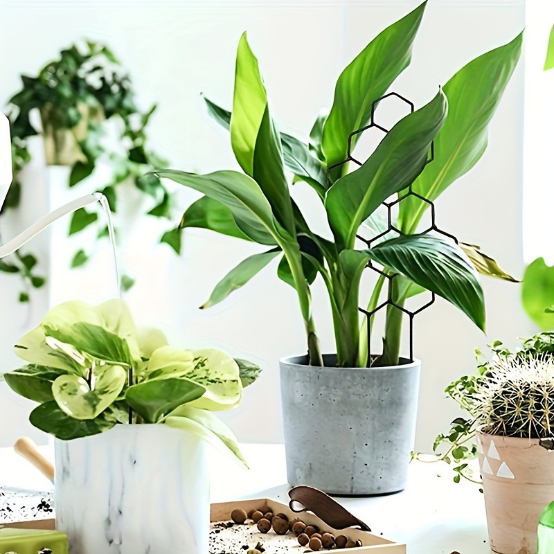 1 шт. Сетчатая опора для расте – обзор и цена Florist Supp